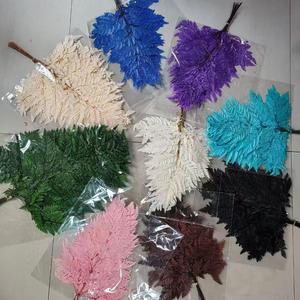 Hojas de Arachniodes Reales, Hojas Secas y Conservadas, Decoración para el Hogar y la Oficina, <span class=keywords><strong>10</strong></span> Piezas/Ramo, 40-50 cm, Graduación, Día de San Valentín - Product Image 1