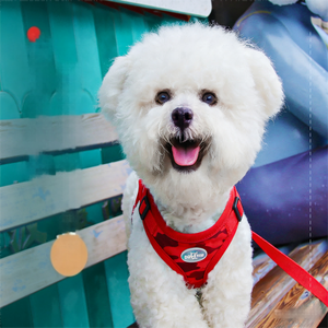 YooGo YG-895 Rompi Harness Hewan Peliharaan Berbahan Bernapas dengan Bantalan Motif Bunga untuk Kucing & Anjing Desain Mewah yang Dapat Di Personalisasi - Product Image 5