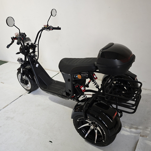 Triciclo Eléctrico para Adultos de 3 Ruedas Scooter Eléctrico para Mayores con Aprobación <span class=keywords><strong>EEC</strong></span> 2000W Trike Citycoco - Product Image 5