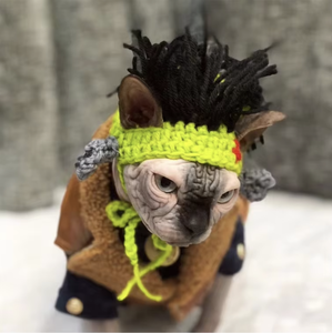 Divertido Gato <span class=keywords><strong>sin</strong></span> <span class=keywords><strong>Pelo</strong></span> Sphynx tocado Punk Reggae estilo Rock perro disfraz sólido Navidad invierno Decoración - Product Image 4