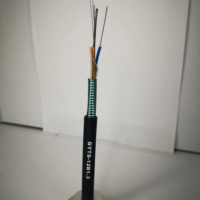 Cables de Fibra Óptica Personalizables de Alto Rendimiento, 24 Núcleos, Monomodo, G652D, GYTC8, GYTS, OPGW, ADSS, Resistentes a los Rayos UV, Blindados, con Certificación CE