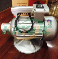 Portable 100% fil de cuivre 110V 220V 380V électrique Plug-in béton Vivrator 1.5KW/2.2KW/3KW Poker vibrateur