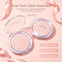 Palette de fard à joues et d'enlumineur LSFAIRY LF187, ensemble de poudres pour le visage professionnel, format voyage, emballage personnalisé, fournisseur, logo personnalisé