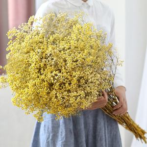 O-X296 رخيصة أسعار الجملة الصف المجففة زهرة Babysbreath السائبة الأبيض الوردي الطبيعي المجففة المحفوظة <span class=keywords><strong>Gypsophila</strong></span> زهرة - Product Image 6