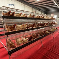 Cage automatique pour 500 poules pondeuses, type A, prix direct usine pour le Nigéria