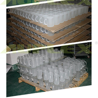 Sandy Sublimation Verre Chope À Bière Givré Hautes Ventes 2 Pièces/Boîte 24 Pièces/CTN Transparent Personnalisé