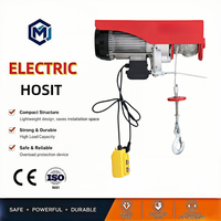Hoist Listrik Nirkabel Anti Karat Bersertifikasi CE Fase Tunggal 110V 220V 100 kg untuk Gudang Garasi Bengkel Rumah