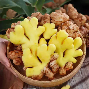 Radice di Zenzero Fresco Biologico Certificato |   Senza pesticidi |   Qualità Premium |   Cibo Pronto da Mangiare |   Prezzi all'Ingrosso di Fabbrica - Product Image 1