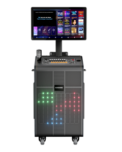 무선 노래방 스피커 휴대용 LED 스피커 디스코 라이트 BT 스피커 내장 마이크 빅 파워 충전식 오디오 파티 무대 - Product Image 1