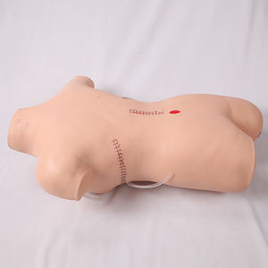 DARHMMY PVC Model pengajaran medis, manekin Bedah jahitan dan pembebat untuk sains medis - Product Image 2