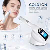 Appareil facial portable à jet froid pour le soin du visage, hydratation et refroidissement, utilisation à domicile, appareil de beauté