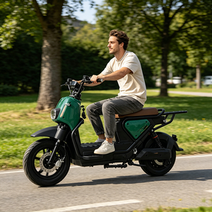 Bicicleta Eléctrica con Suspensión Hidráulica Delantera y Trasera, <span class=keywords><strong>Alarma</strong></span> Inteligente con Control Remoto, 3 Velocidades, Batería de Plomo-Ácido - Product Image 5