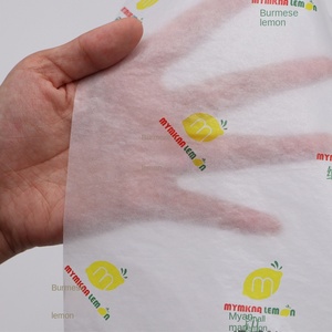 Cao minh bạch linh hoạt ánh sáng tuyết Lê Truy Tìm giấy lấy cảm hứng từ con ve sầu cánh cho quần áo & vớ may mặc lót Quà Tặng - Product Image 3