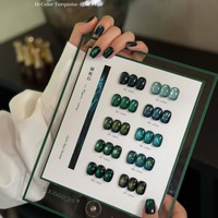 Suuseegel – Kit de vernis gel magnétique œil de chat turquoise 10 couleurs, vert et bleu, pour manucure en salon