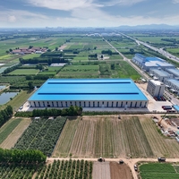 Bâtiment en structure métallique pour entrepôt industriel, atelier et construction d'usine, structure préfabriquée sur mesure