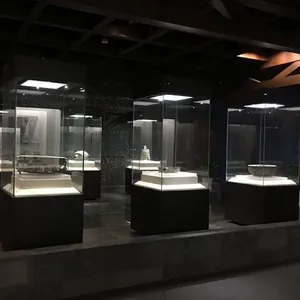 Esposizione del museo di progettazione su ordinazione ha condotto l'armadietto rotondo della vetrina dell'esposizione del museo del banco di mostra