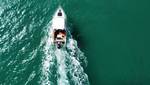 Fábrica de Barcos Baratos en China, Nueva Embarcación de Pesca de Aluminio de 7.5m, Profisher <span class=keywords><strong>Gospel</strong></span> P750, 200-350HP, 7 Personas, en Venta - Product Image 4