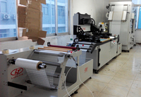 Máquina de serigrafía de microregistro, impresora de etiquetas servo, máquina de impresión digital rollo a rollo