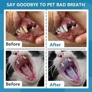 5cm Dog Toothbrush Toys Wholesale New Arrivals Custom Toys Chewing Animals Accessories <b>Cat</b> Interactive Ball Dog Toys for Pets - Product Image 4