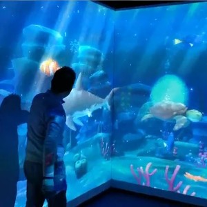 Proiezione della parete dell'ologramma 3D 35 temi giochi interattivi della parete del mondo subacqueo con tocco delle dita - Product Image 1