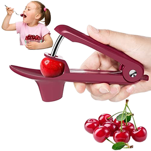 Herramienta Manual de Acero Inoxidable para Uso Doméstico, para la Gestión de Huertos de Dátil Seco, con Herramienta de Eliminación de Semillas de Cereza y Espino, Hecha de Metal - Product Image 1