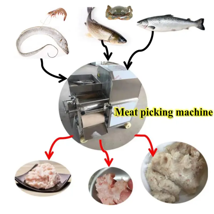 Fish balls and minced fish processing machine Fish bone removing machine for aquatic products market