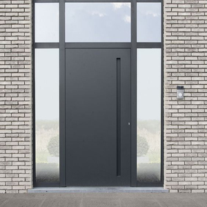 Seeyesdoor Kim Loại Hiện Đại An Ninh Nhôm Bên Ngoài Pivot Nhập Door Đối Với Nhà Tất Cả Các Loại - Product Image 3