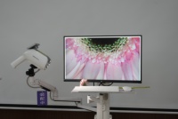 GN-200 HD Dijital Video Kolposkop, Case Atlas ve RCI Puanlama Sistemleri için, Servikal Lezyon Tanısı için PDF Rapor İhracatı