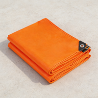 Bâche en nylon enduit de PE avec œillets, laminée et imperméable, pour la protection des marchandises en extérieur – Vente en gros usine, Nouveauté