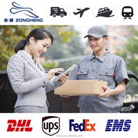 Transit Express Logistique Porte-à-Porte Agent Maritime Chine-Allemagne Slovaquie LCL Express DDP