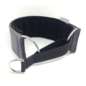 <span class=keywords><strong>Collar</strong></span> de perro Whippet con diseño de martingala ensanchado resistente personalizado <span class=keywords><strong>Collar</strong></span> de perro de 3 pulgadas de ancho de tela de terciopelo - Product Image 5