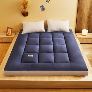 Materasso antiscivolo Super morbido e comodo da 200*220cm all'ingrosso all'ingrosso a cinque stelle in velluto a tinta unita 3D - Product Image 4