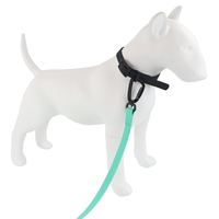 Laisse pour chien en PVC imperméable et durable, personnalisable en gros, 5m/8m/10m, protection UV et anti-odeurs pour les promenades sur la plage, fournitures pour animaux de compagnie