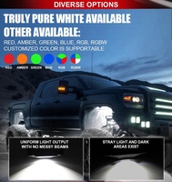 Super luminosité personnaliser couleur unique LED Rock Light 6 pièces haute puissance puce Underglow voiture camion ATV UTV lampe à LED
