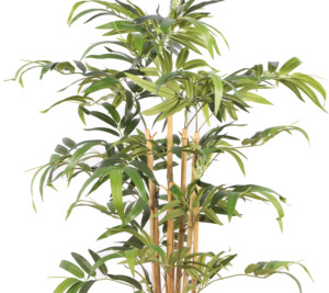 Conjunto <span class=keywords><strong>de</strong></span> jardín <span class=keywords><strong>de</strong></span> <span class=keywords><strong>decoración</strong></span> <span class=keywords><strong>de</strong></span> <span class=keywords><strong>interiores</strong></span>, plantas <span class=keywords><strong>de</strong></span> bambú <span class=keywords><strong>de</strong></span> seda, Amazonas <span class=keywords><strong>de</strong></span> alta calidad, árbol Artificial japonés en línea, planta <span class=keywords><strong>de</strong></span> bonsái simulada - Product Image 6