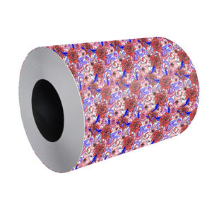 الصين الصانع نمط تصميم مقاومة للحرارة مواد الديكور زهرة الحبوب طباعة PPGI - Product Image 5