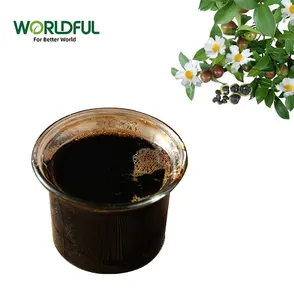 Groothandel 35% Camellia Sinensis Zaad Extract Thee Saponine