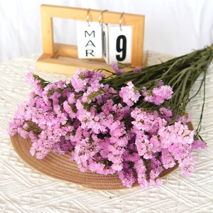 120g Bunga Limonium (Statice/Forget-me-not) Kering Alami untuk Dekorasi - Product Image 2