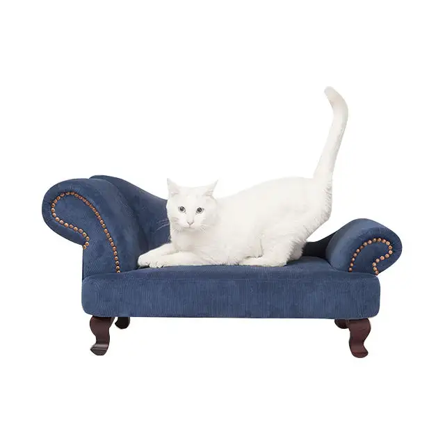 Elegante Luxe Lange Huisdiermeubelen Houten Indoor Comfortabele Fluwelen Stof Kattenhond Slaapbank Bank