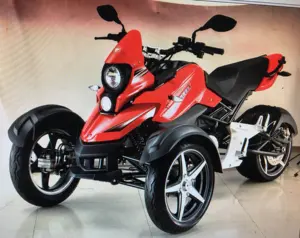 2024 nhà máy trực tiếp xăng 3 bánh xe cơ giới Trike cho người lớn hành khách và hàng hóa tàu sân bay ba bánh