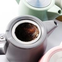Théière en céramique personnalisée en gros avec couvercle et infuseur en acier inoxydable, théière en porcelaine avec infuseur