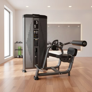 Máquina de Aislamiento Abdominal <span class=keywords><strong>Total</strong></span> con Peso de Placas DFT A619 de Alta Calidad para Gimnasios Comerciales, Suministro Directo de Fábrica - Product Image 3