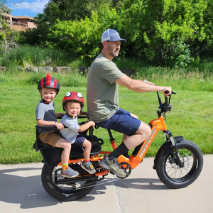 Vélo Électrique Zerogo 2026 C1 750W pour Adultes, Vélo de Ville Électrique à Pneus Larges pour Femmes, Vélo Cargo à Moteur Arrière, Batterie au Lithium, Moteur Brushless - Product Image 1