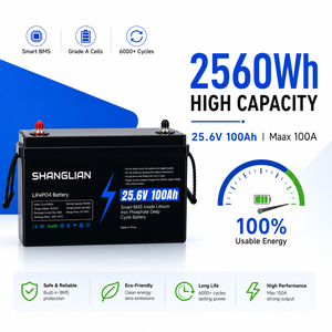 แบตเตอรี่ 24V 25.6V 100Ah 2560Wh ลิเธียมไอรอนฟอสเฟตแบบ Deep Cycle สำหรับมอเตอร์ทรอลลิ่ง เรือเดินทะเล เรือยอชท์ พลังงานสำรองจากพลังงานแสงอาทิตย์ 25.6V100Ah-LF - Product Image 3