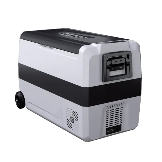 12V DC Compressor Mini Car Fridge Freezer Refrigerator Black Sports Ce Audi ABS 60W Freezers for Cars 100l Freon 6 Months 100