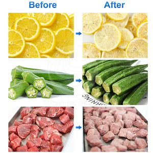 Orme 20kg 50kg Chuối Rau lyophilizer Máy quy mô nhỏ cà phê chân không đóng băng Máy sấy nhà Mini - Product Image 6