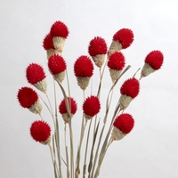 Fleur naturelle séchée, 1 ensemble de 15 pièces, arrangement de vase, pour remplissage de fruits, boule de fruits secs, similaire à des fraises, vente en gros