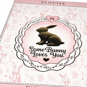 Scatola di Carta per Palette Trucco di Lusso con Motivo Coniglio e Cioccolato, Design 'Some Bunny Loves You', OEM Etichetta Privata, Vendita all'Ingrosso - Product Image 3