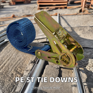 <span class=keywords><strong>สาย</strong></span>รัดแบบมีตัวล็อค PE <span class=keywords><strong>1</strong></span> T พร้อมตะขอแบบ Double-J ได้รับการรับรองมาตรฐาน CE รับน้ำหนักได้ 1000 กก. <span class=keywords><strong>สาย</strong></span>รัดสินค้า 6 ม./8 ม./10 ม. ทำจากโพลีเอสเตอร์และ<span class=keywords><strong>ยาง</strong></span> - Product Image 5