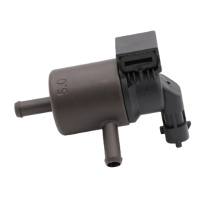 Vanne solénoïde de purge de canister à vapeur 29010-03AA0 pour Hyundai Kia EVAP - Product Image 1